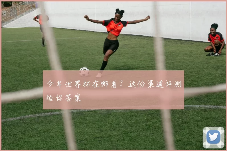 今年世界杯在哪看？这份渠道评测给你答案