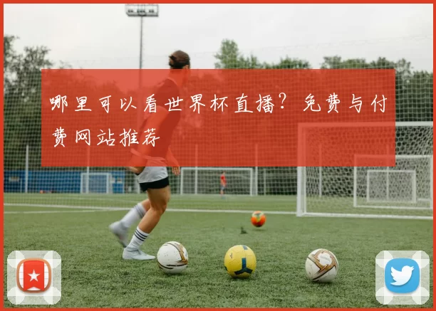哪里可以看世界杯直播？免费与付费网站推荐
