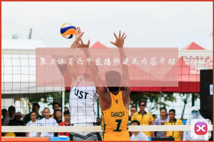 聚力体育西甲直播频道及内容介绍