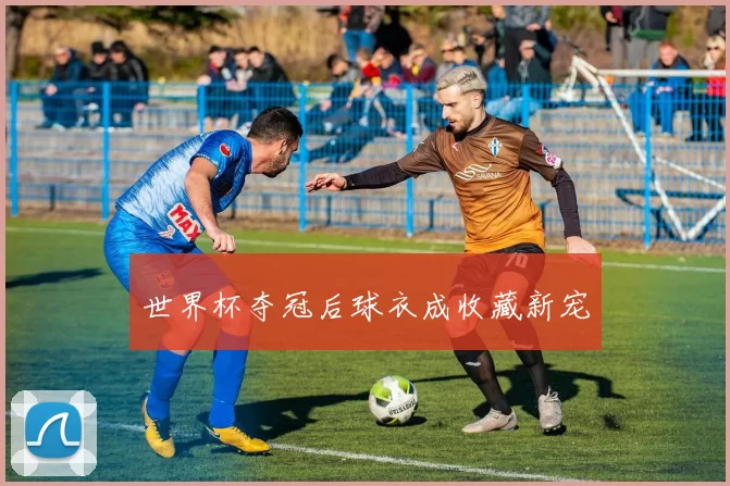 世界杯夺冠后球衣成收藏新宠