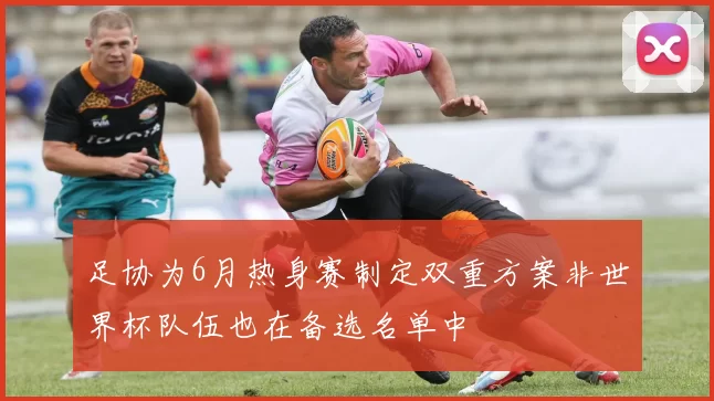 足协为6月热身赛制定双重方案非世界杯队伍也在备选名单中