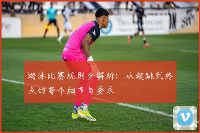 游泳比赛规则全解析：从起跳到终点的每个细节与要求