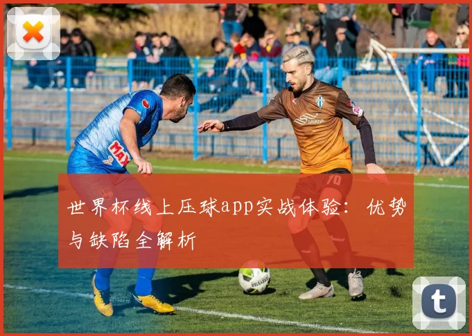 世界杯线上压球app实战体验：优势与缺陷全解析