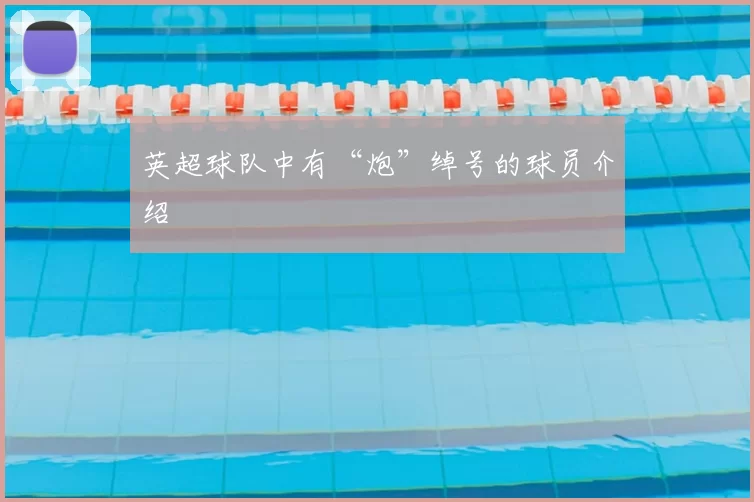 英超球队中有“炮”绰号的球员介绍