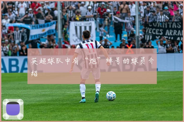 英超球队中有“炮”绰号的球员介绍