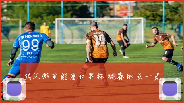 武汉哪里能看世界杯 观赛地点一览