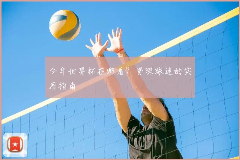 今年世界杯在哪看？资深球迷的实用指南