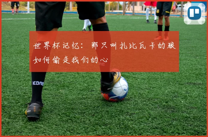 世界杯记忆：那只叫扎比瓦卡的狼如何偷走我们的心