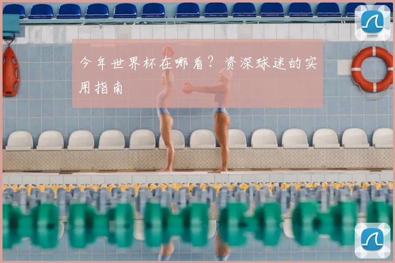 今年世界杯在哪看?资深球迷的实用指南