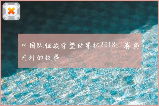 中国队征战守望世界杯2018：赛场内外的故事