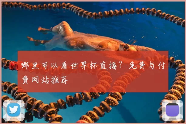 哪里可以看世界杯直播？免费与付费网站推荐