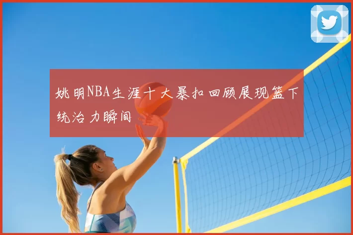 姚明NBA生涯十大暴扣回顾展现篮下统治力瞬间